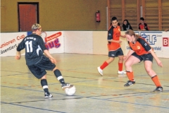 2. TVL Damen Hallen-Cup